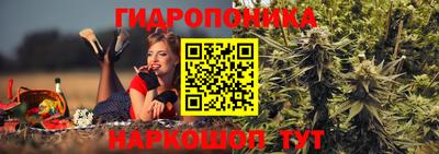 прущие грибы Чебаркуль
