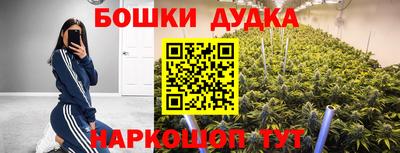 прущие грибы Чебаркуль
