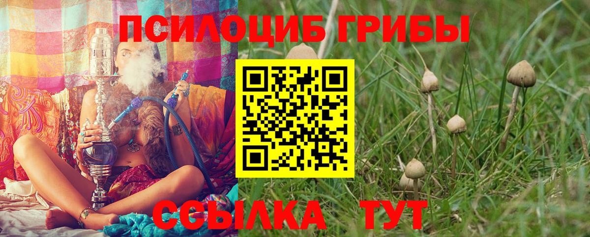 Псилоцибиновые грибы Psilocybine cubensis  Вход с VPN  Курчатов  Галлюциногенные грибы ЛСД 