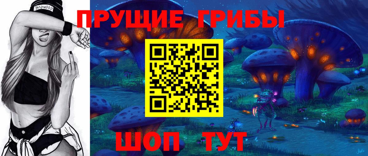 Галлюциногенные грибы Psilocybe Курчатов
